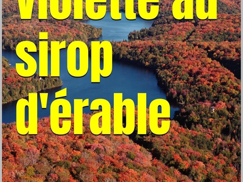 Un petit extrait de mon roman en avant première&nbsp;?