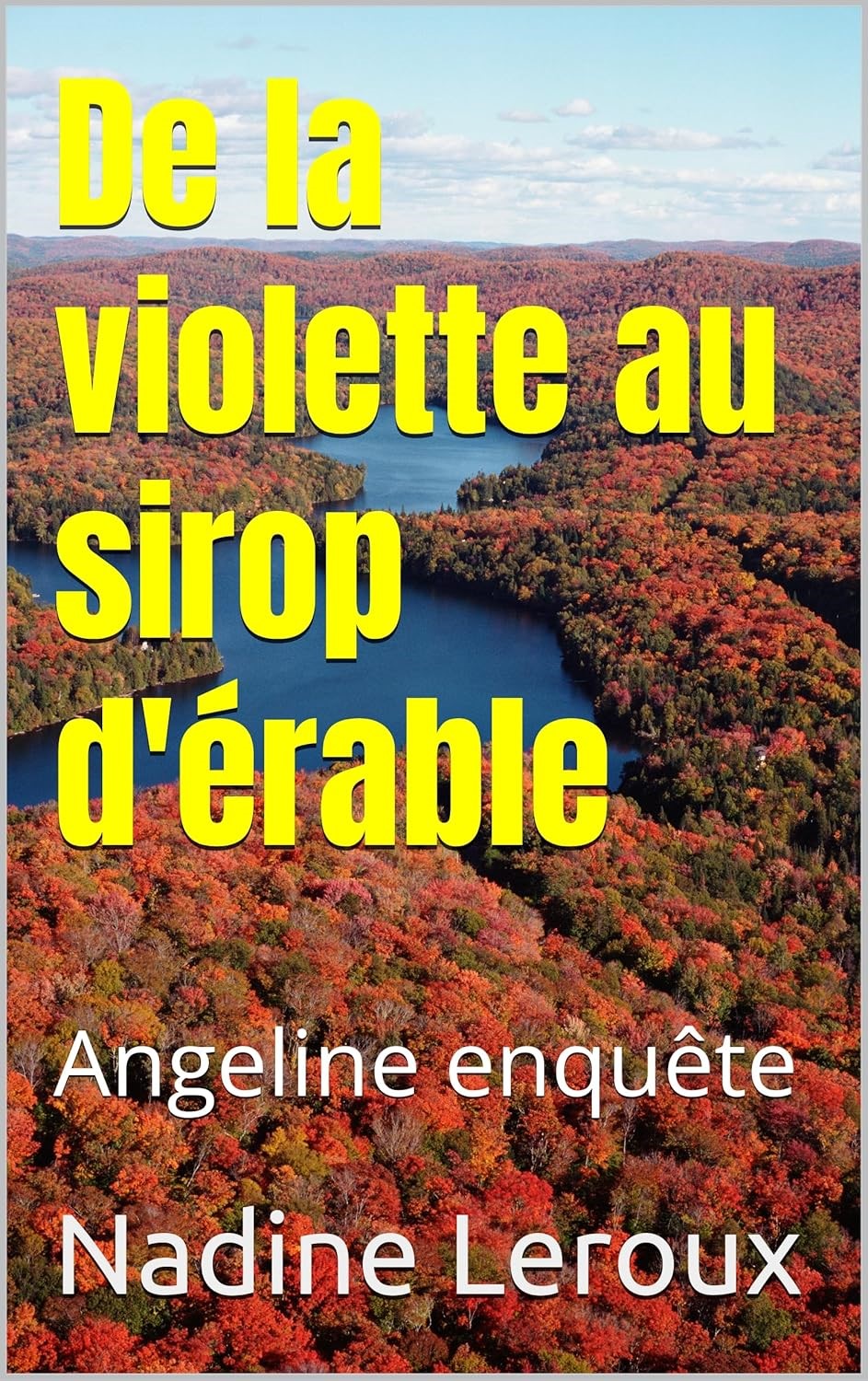 Un petit extrait de mon roman en avant première&nbsp;?